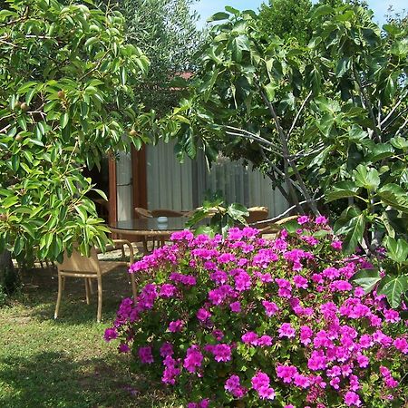 Hotel Club Ragno D'Oro Olbia Tempio ภายนอก รูปภาพ