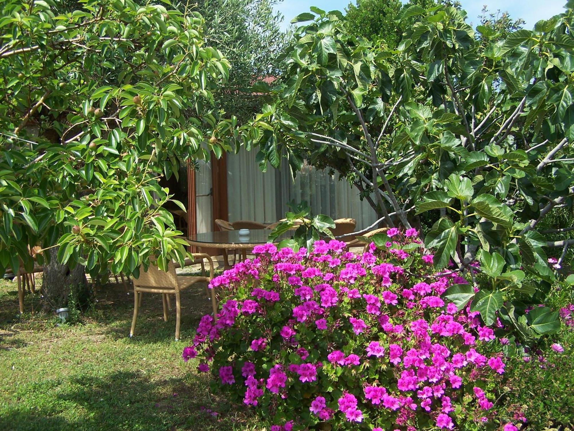 Hotel Club Ragno D'Oro Olbia Tempio ภายนอก รูปภาพ