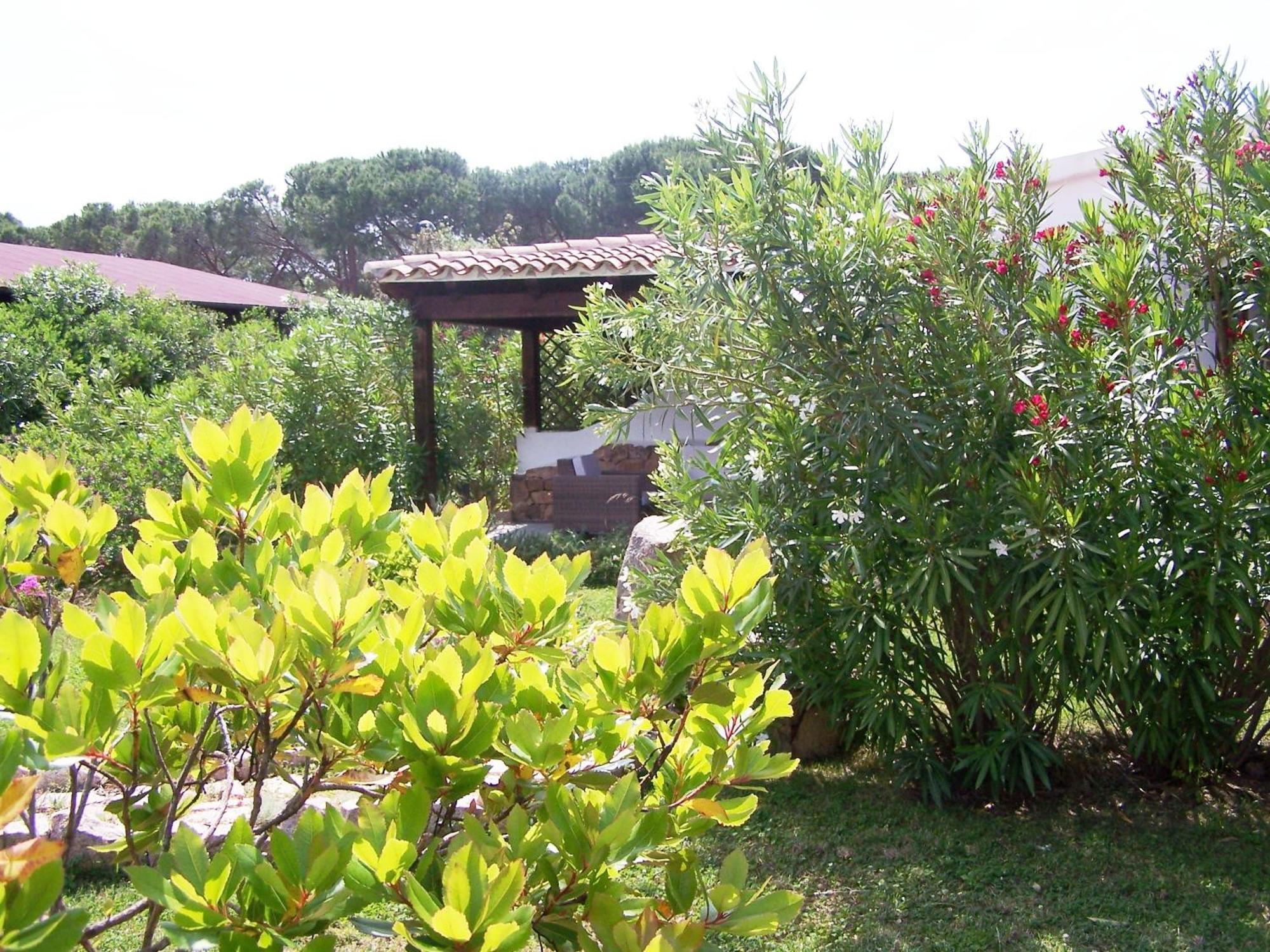 Hotel Club Ragno D'Oro Olbia Tempio ภายนอก รูปภาพ